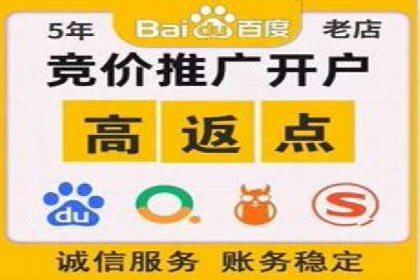 某某sem推广公司在某行业的应用与效果分析
